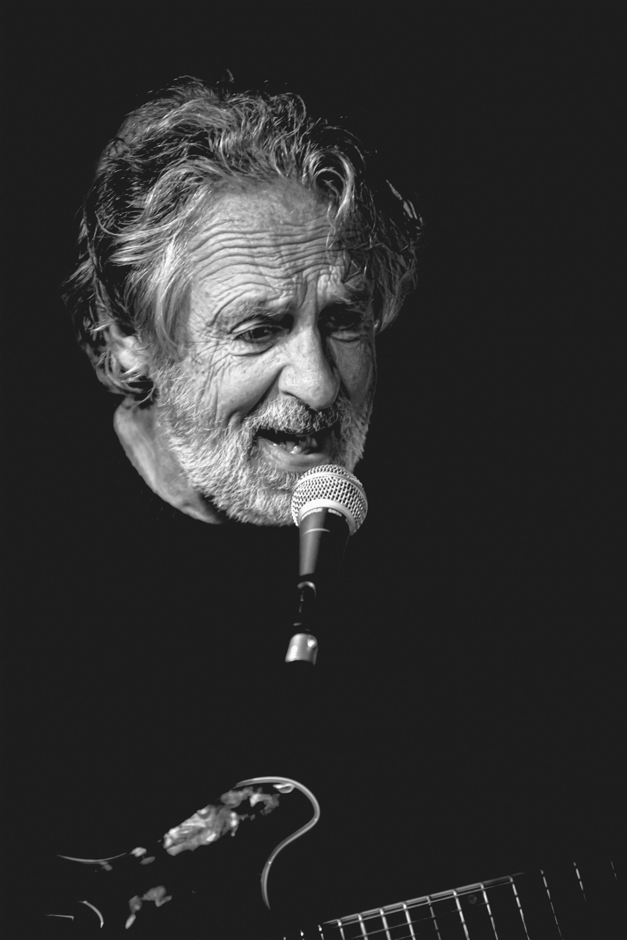 Wim Ceulemans